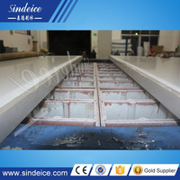 Machine à fabriquer des blocs de glace à la saumure, prix compétitif, 1-10t, machine à glace, usine à glace à vendre aux Philippines/au Moyen-Orient/à Dubaï