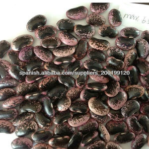 Frijol moteado Negro - Product Image 1