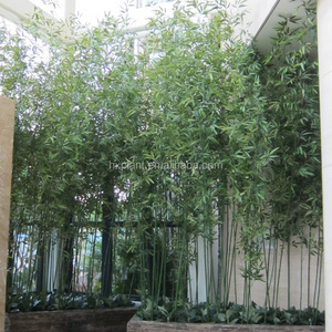 Plante en bambou artificielle, <span class=keywords><strong>prix</strong></span> abordable, intérieur et extérieur, Faux plante, <span class=keywords><strong>bonsaï</strong></span>, clôture en bambou artificielle - Product Image 4