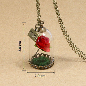 NX441 Huilin New Design <strong>Beauty</strong> <strong>and</strong> <strong>Beast</strong> Dry Rose Flower Necklace Creative Glass Bottle Red Rose Wish Pendant Necklace - Product Image 4