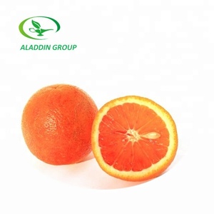 Chiết Xuất Từ Hạt Bưởi <span class=keywords><strong>Naringin</strong></span> 90%-98% - Product Image 4