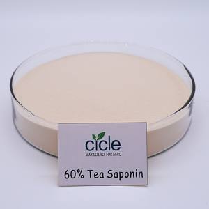茶サポニン粉末100% 天然茶サポニン60% 茶種子サポニン - Product Image 1