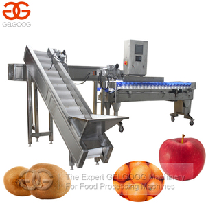 Fruit Kalibratie Machine Groente-en Sorteren Machine - Product Image 3