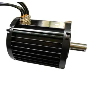 48v bürstenlosen dc motor