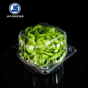 优质食品级泡罩透明宠物塑料容器生菜蛤壳生菜包装 - Product Image 4