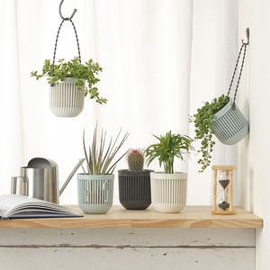 2019 Plastic Bloempotten Kleine Opknoping Mini Bloempot Plastic Tuin Voor Promotie - Product Image 2