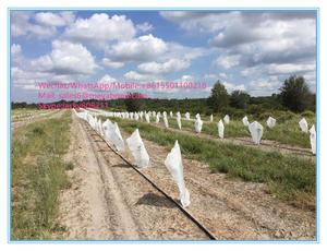 Chống Côn Trùng Lưới Cho Orchard Trái Cây Fly Lưới Túi/Vườn Ươm Cây Trái Cây Túi - Product Image 4