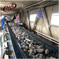 Convoyeur à bande inclinée robuste HONGDA 500 TPH pour la manutention de briquettes minières avec trémie d'alimentation certifiée CE Modèle TD-600