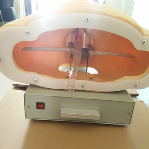 מודל אימון בית ספר <span class=keywords><strong>intubation</strong></span> מודל מניקור <span class=keywords><strong>cpr</strong></span> מניקור <span class=keywords><strong>cpr</strong></span> עם מכשיר מעורר למידה אינטובציה - Product Image 3