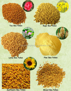<span class=keywords><strong>Pollen</strong></span> d'abeille 2026 pour l'alimentation des abeilles - Product Image 4
