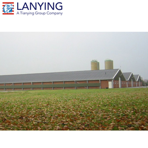 Preço de fábrica de baixo custo estrutura de aço leve indiano de fazenda de aves - Product Image 3