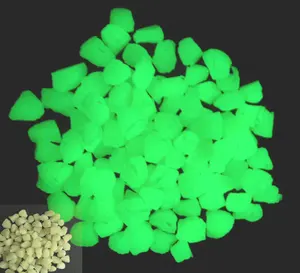 Luminous Garden Aquarium Pebble Glow In The Dark Steine für Beton