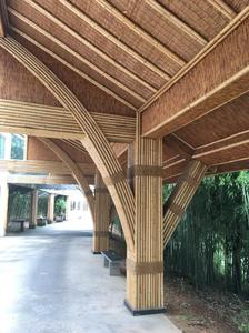 Estacas de material de bambú de alta calidad Postes de bambú Moso postes de bambú crudos artificiales tratados - Product Image 5