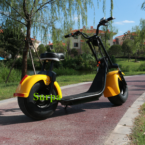 Scooter Elettrico Vintage Yongkang Surpa/Motocicletta Elettrica da Strada Surpa con Pneumatici Larghi 18*9.5 Pollici 3000w 2000w 1500w - Product Image 3