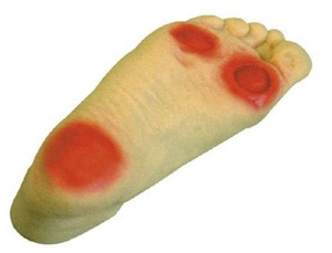 Modelo avanzado de enseñanza y entrenamiento del pie diabético Especialidad en ciencias médicas-Modelo de anatomía humana - Product Image 6