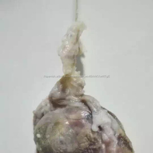 Personalización antibacterial infección por hongos cura coño sexo de atención los tampones vaginales desintoxicación perlas - Product Image 5