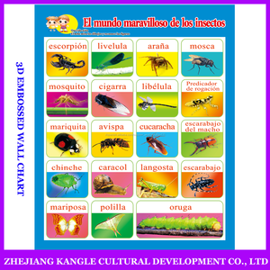 <span class=keywords><strong>Español</strong></span> idioma niños juguetes gráfico mural con <span class=keywords><strong>sistema</strong></span> de guía de estudio con herramientas de - Product Image 4