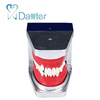 Articulador de Modelo Tipodonto de Resina y Acero Inoxidable con 6 Aros de Cera, Ajustable por Calor, para Entrenamiento de Ortodoncia y Uso en Laboratorio Dental