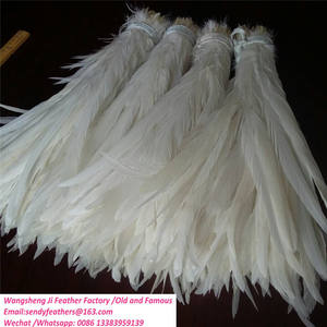 Plumas de Gallo Blancas como la Nieve, Plumas de Cola de Gallo, Manualidades Decorativas, Plumas para Manualidades - Product Image 4
