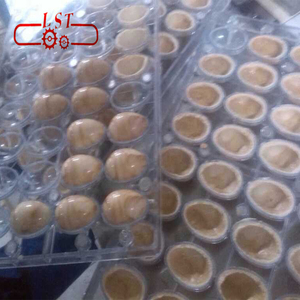 Tự động 8 khuôn mẫu hoặc 16 khuôn mẫu hollow <span class=keywords><strong>choclate</strong></span> quay molding làm máy - Product Image 2