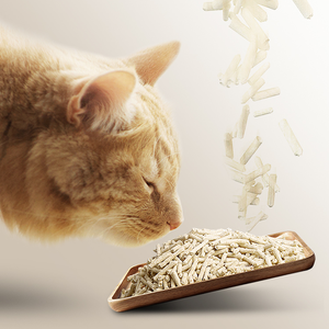 Comprar <span class=keywords><strong>arena</strong></span> <span class=keywords><strong>aglomerante</strong></span> para gatos <span class=keywords><strong>arena</strong></span> para gatos al por mayor - Product Image 1