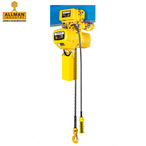 Polipasto Eléctrico de Cadena ALLMAN con Certificado CE, Trifásico, 220V 380V 440V, con Carros de Viga - Product Image 2