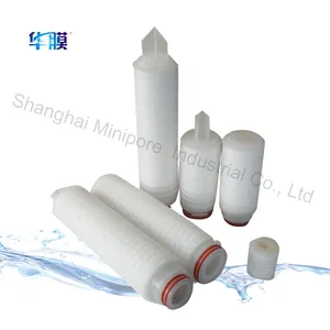 上海ミニポア0.45ミクロンpes水フィルターカートリッジ医薬品用
