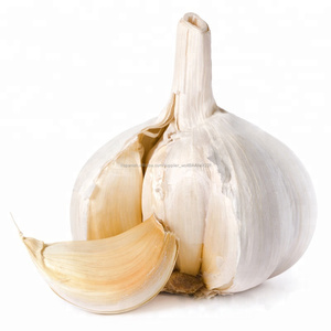 China <span class=keywords><strong>elefante</strong></span> de <span class=keywords><strong>ajo</strong></span> blanco fresco de 5 cm, 7 kg bolsa de malla para la <span class=keywords><strong>venta</strong></span> - Product Image 2