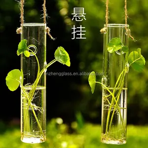 试管圆柱形 hydroponics 花瓶开口透明玻璃管挂