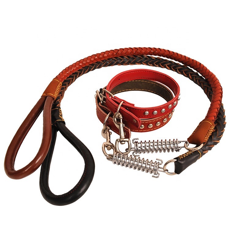 Réglable Doux Rivet En Cuir Tressé de Conception de Laisse Et Collier De Chien De Luxe Ensemble Collier Et Laisse Pour Chien