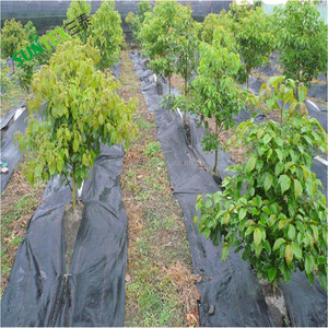 <span class=keywords><strong>Malla</strong></span> Antihierbas de Polipropileno para Control de Suelo y Permeabilidad de Agua, Tejido Antihierbas para Jardín, <span class=keywords><strong>Malla</strong></span> de Control de Maleza Resistente a los Rayos UV para Huertos - Product Image 3