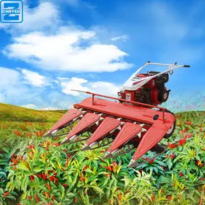 sugarcane reed cutting harvesting machine | rice wheat reaper combined