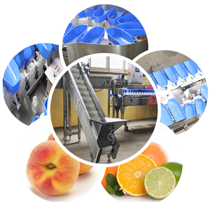 Fruit Kalibratie Machine Groente-en Sorteren Machine - Product Image 6