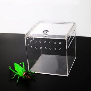 Mini Cage à reptile en plexiglas pour les animaux, bac en acrylique transparente, à motif d'insecte, accessoire de Terrarium - Product Image 2