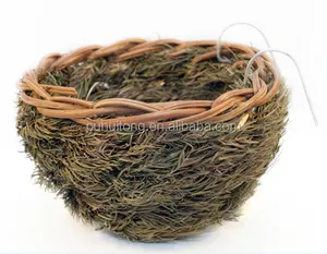 Bahçe kuş nest ev