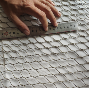 Filet <span class=keywords><strong>tressé</strong></span> Anti-oiseau, diamètre de fil 0.8mm, 20*20mm, taille de trou, câble métallique, maille de câbles - Product Image 1