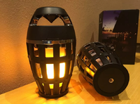 Haut-parleur portable sans fil Mgitec pour le camping avec son stéréo clair et ambiance flamme