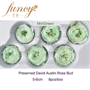 Rosas David Austin Naturales <span class=keywords><strong>Preservadas</strong></span>, Tamaño del Diámetro de 5 a 6 cm - Product Image 5