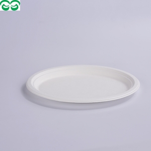 จานกระดาษเป็นมิตรต่อสิ่งแวดล้อม,กระดาษชานอ้อยแบบใช้แล้วทิ้ง10" - Product Image 3