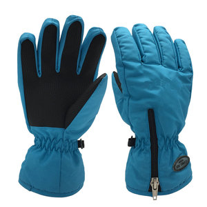 Highcamp <span class=keywords><strong>3M</strong></span> <span class=keywords><strong>Thinsulate</strong></span> Isolation Thermique Coupe-Vent Gants de Ski Imperméables - Product Image 1