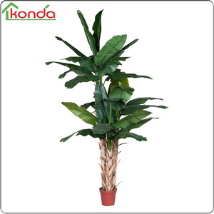 Cây Nhân Tạo 100Cm Aglaonema Costatum Lá Lớn Thường Xanh Nhà Máy - Product Image 4