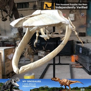 Modello di Scheletro di <span class=keywords><strong>Balena</strong></span> a Grandezza Naturale per Decorazione Domestica - Product Image 4