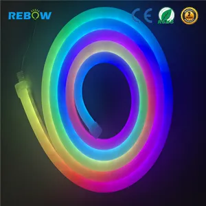 Silicio de la capa de gel 12v RGB digital sueño color led de neón flex de neón