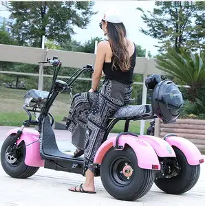 1001-2000w Citycoco 뚱뚱한 타이어 성숙한 전기 세발자전거를 위한 3 개의 바퀴 전기 스쿠터