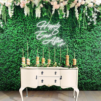 Letrero de Boda de Acrílico con LED de Neón, Diseño 'Happily Ever After', para Montar en la Pared