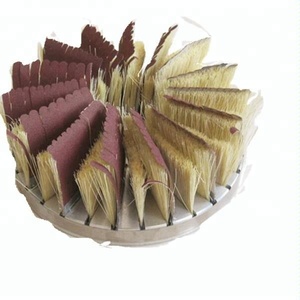 <span class=keywords><strong>Brosse</strong></span> Tampico de polissage de disque dans la machine de poignée <span class=keywords><strong>pour</strong></span> <span class=keywords><strong>poncer</strong></span> <span class=keywords><strong>le</strong></span> <span class=keywords><strong>bois</strong></span> 6/8/10 pouces - Product Image 2