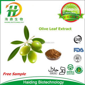 Fournir Naturel Soins de Santé Oleuropéine 40% Olive Leaf Extract - Product Image 1