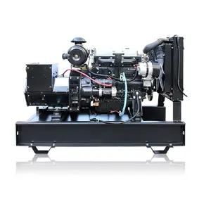 Top Performance Wholesale 16KW Electric Motor Generator