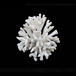 Artificial acuario decorativo resina blanca <span class=keywords><strong>corales</strong></span> - Product Image 3