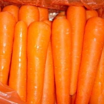 Китай естественный свежий морковный,
